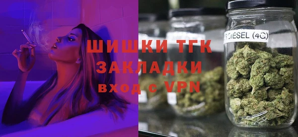 спиды Вяземский